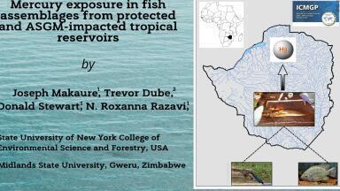 WATCH: Mercury exposure in fish from protected and non-protected tropical reservoirs in Zimbabwe